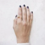 Anillo MIMAS - Imagen 5